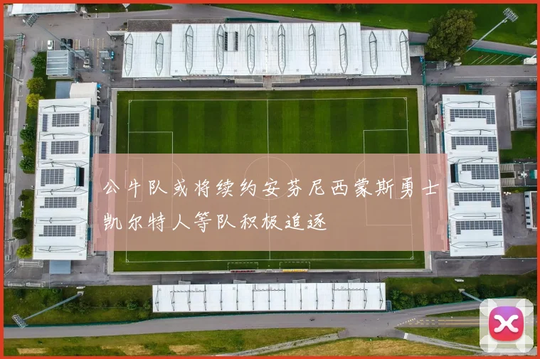 公牛队或将续约安芬尼西蒙斯勇士凯尔特人等队积极追逐